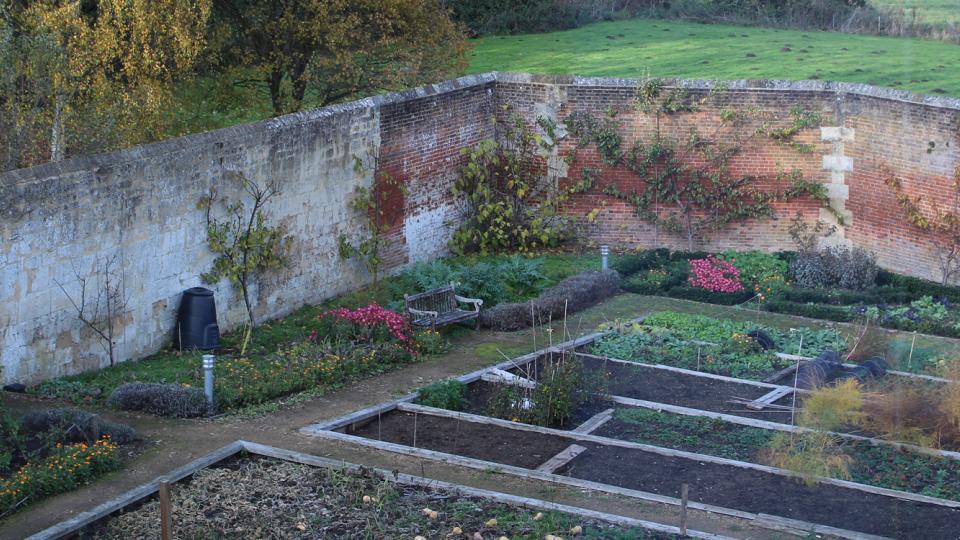 Red brick walled garden with rectangle beds within the garden. It is Autumn as there are yellow leaves on the ground. 